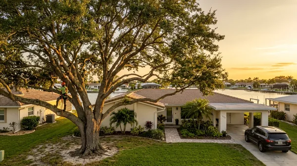 Team Cape Coral Tree Service in Cape Coral